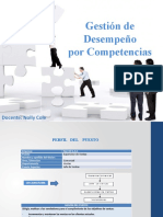 Gestion de Desempeño