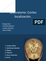 Cortes Localización