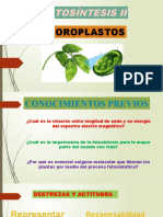 Cloroplastos y fotosíntesis