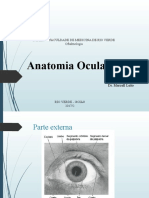 Anatomia Ocular