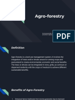 Agro Forestry