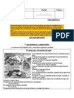 Guía didáctica 5° básico I