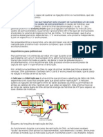 Replicação Do DNA