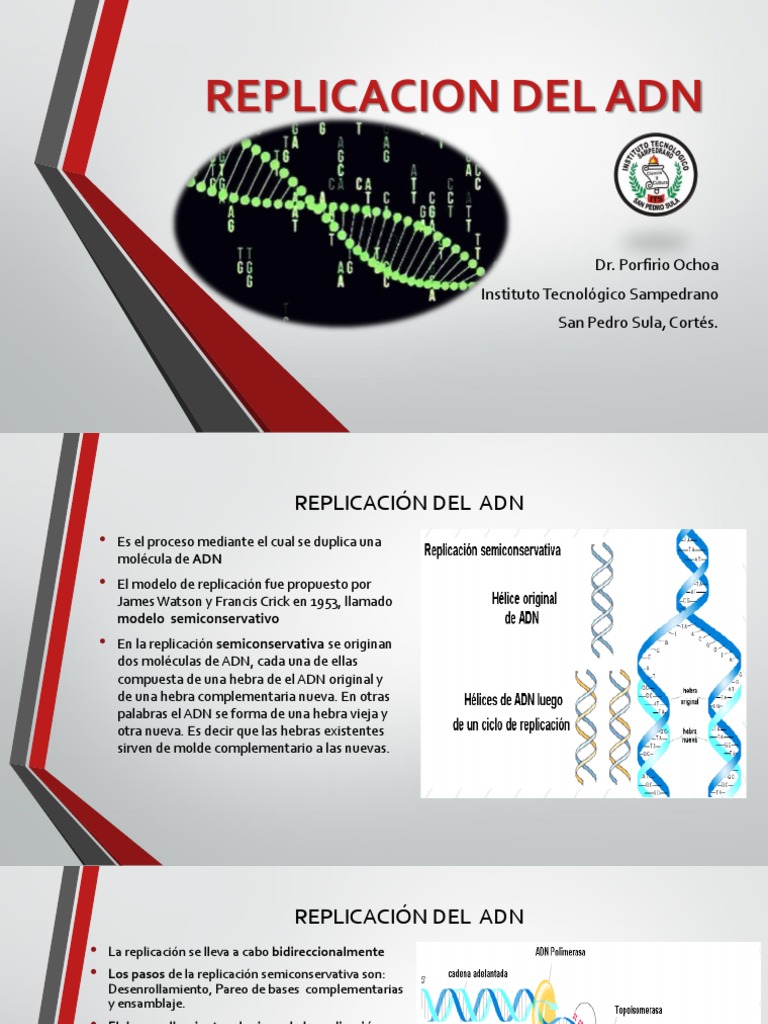 Replicacion Del Adn | PDF | Replicación De Adn | Adn
