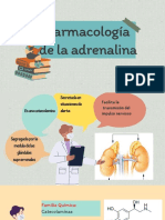 Farmacología de la adrenalina: Adrenalina-Farmacología