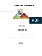 Guía Tesis II Maestría Gestión Ambiental UNSM