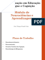 Aula Biliguismo Neuroanatomia