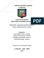 Informe 2 Densidad Absoluta de Gases PDF