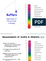 Acids, Bases, Buffers, PH