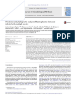 AQUINO (2014) - Prevalence and Phylogenetic Analysis of Haemoplasmas From Cats