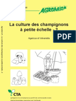 La Culture Des Champignons A Petite Echelle 2