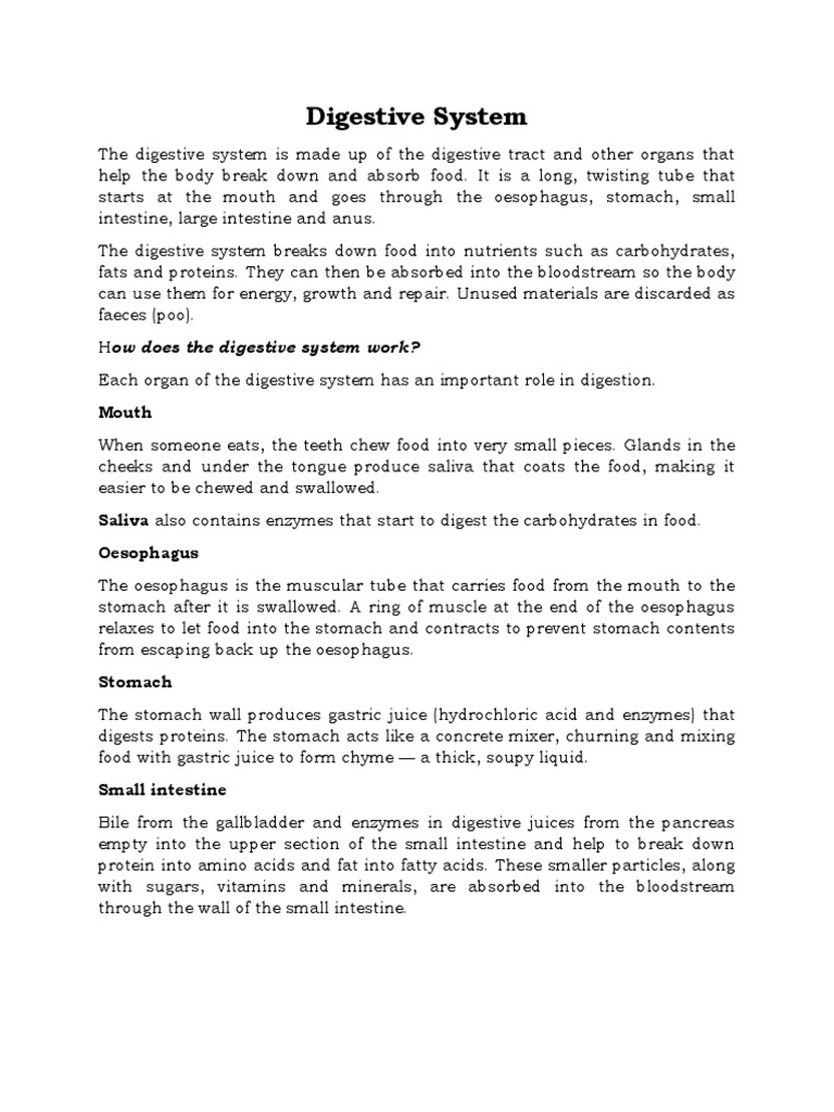 Digestive System | PDF | Human Digestive System | Digestion