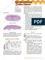 Enfermedades Endocrinas 3 AM