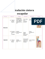 Articulación Cintura Escapular
