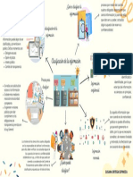 Clasificación de La Información