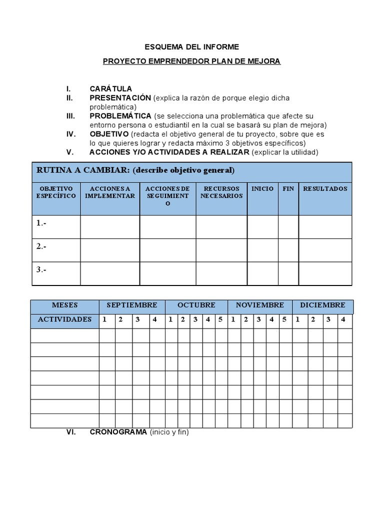 Informe del Plan de Mejora Empresarial | PDF