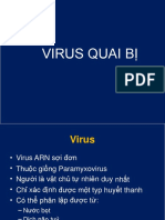 Ths Luân VIRUS QUAI BỊ