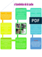 Proceso Económico de La Leche