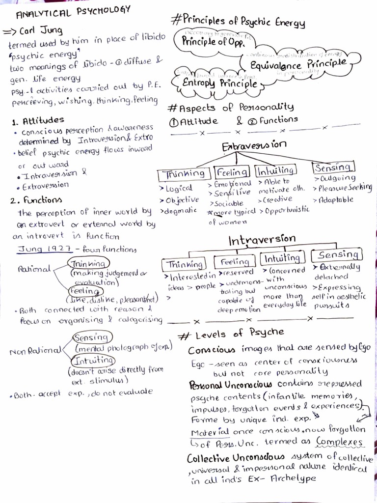Carl Jung Aspects of Personality, Principles & Levels of Psyche PDF