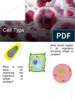 Cell Types