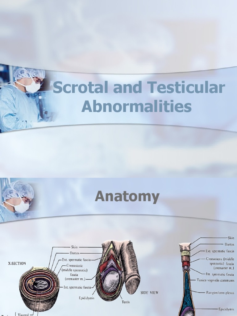 Scrotal Mole Signs You Shouldnt Miss - v2mlimi
