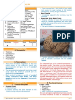 Neuro 3.05 Telencephalon Dra. Trinidad