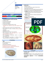 (PARA) 2.05 - Lung Flukes - Dr. Alvarado