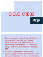 CICLO KREBS