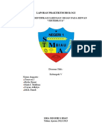 Laporan Praktikum Biologi Ochaa