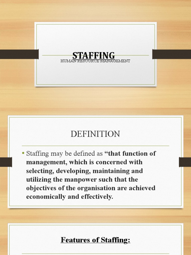 Staffing PDF Human Resources Business