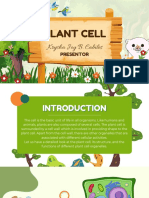 Plant Cell