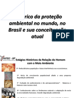 2 - Histórico da proteção ambiental