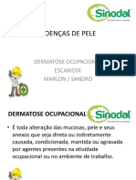 Doenças de pele: Dermatoses ocupacionais e escabiose