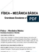 Física - Grandezas escalares e vetoriais