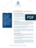 2 Interpol - An Overview
