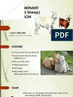 Small Ruminant Goat and Sheep Production