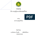 รายงานระบบเสียงดนตรีไทย ตี๋