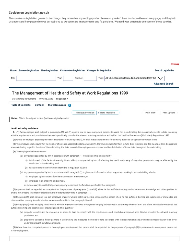The Management of Health and Safety at Work Regulations 1999 PDF