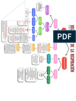 Copia de Regulación de La Respiracion