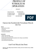 A PROFILE OF PETROLEUM OPERATION