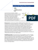 1 NEURONA - Documentos de Google