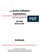 Offensive Software Shellcode Guide