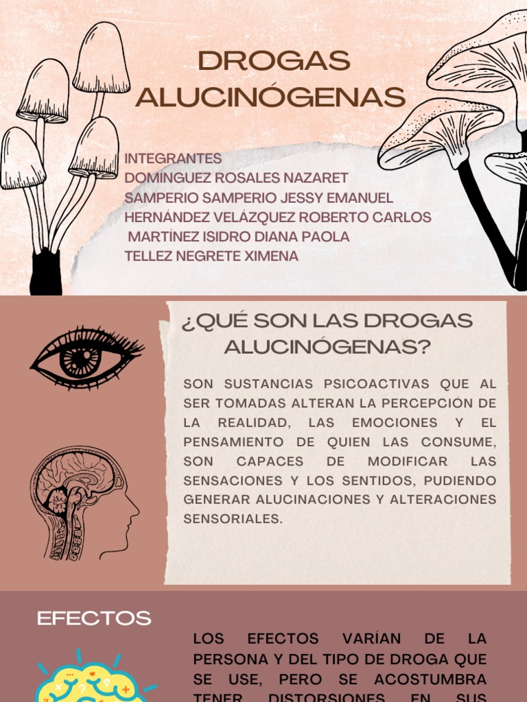 Drogas Alucinogenas | PDF | Alucinógeno | Dietilamida del ácido lisérgico