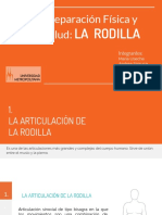 Rodilla: anatomía, lesiones y tratamientos