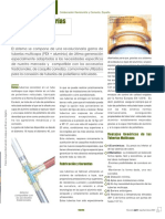 Sistema de Tuberías Multicapa