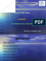 Diapositivas Bacterias