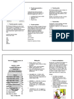 Trifolio Funciones Del Lenguaje