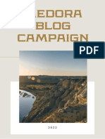 Medora Blog Campaign