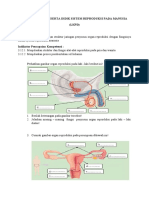 LKPD Sistem Reproduksi