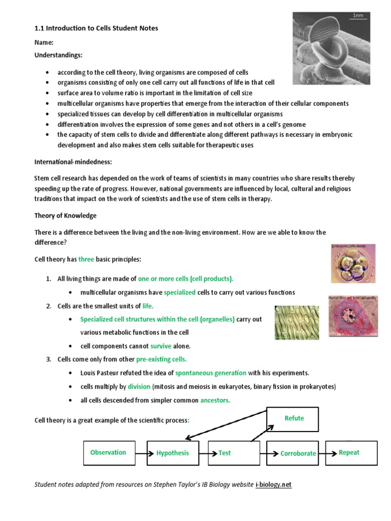 1.1 Introduction To Cells Student Notes | Download Free PDF | Cell ...
